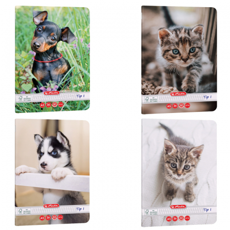 Caiete - CAIET TIP I A5 36 FILE CAT&DOGS
