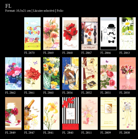 Felicitari - FELICITARE FL 10.5*21cm