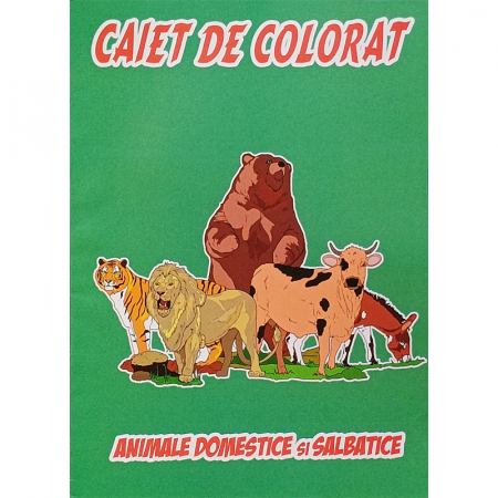 KP-CAIET DE COLORAT A4 [4]
