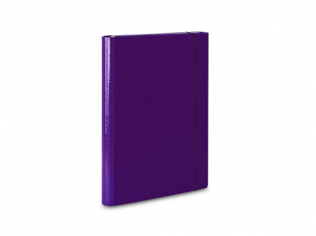 Mapa elastic si capsa, Mapa conferinta, Clipboard-uri - Mapa A4 plastic 2 compartimente