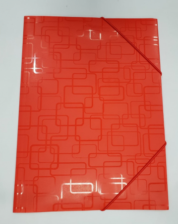 Mapa elastic si capsa, Mapa conferinta, Clipboard-uri - Mapa plastic cu elastic si insertii A4