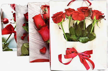 Produse de ambalare, Pungi ZipLock - PGB-1212 PUNGA CADOU 26*32*10cm