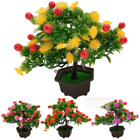 Plante decorative - Planta decorativa cirese 25 cm