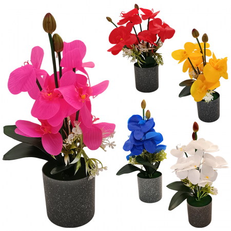 Plante decorative - Planta decorativa Orhidee 35 cm