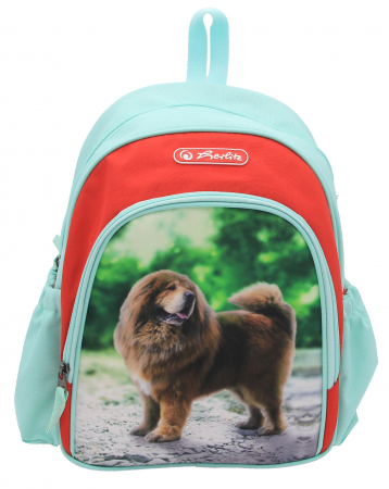 Ghiozdane, Rucsaci si Genti - Rucsac Cool 31*20*12cm Boss Phantom Red