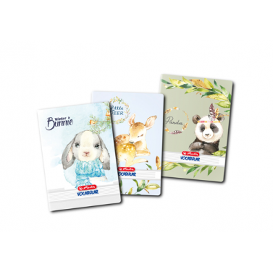 Caiete - Vocabular A6 24 file Herlitz
