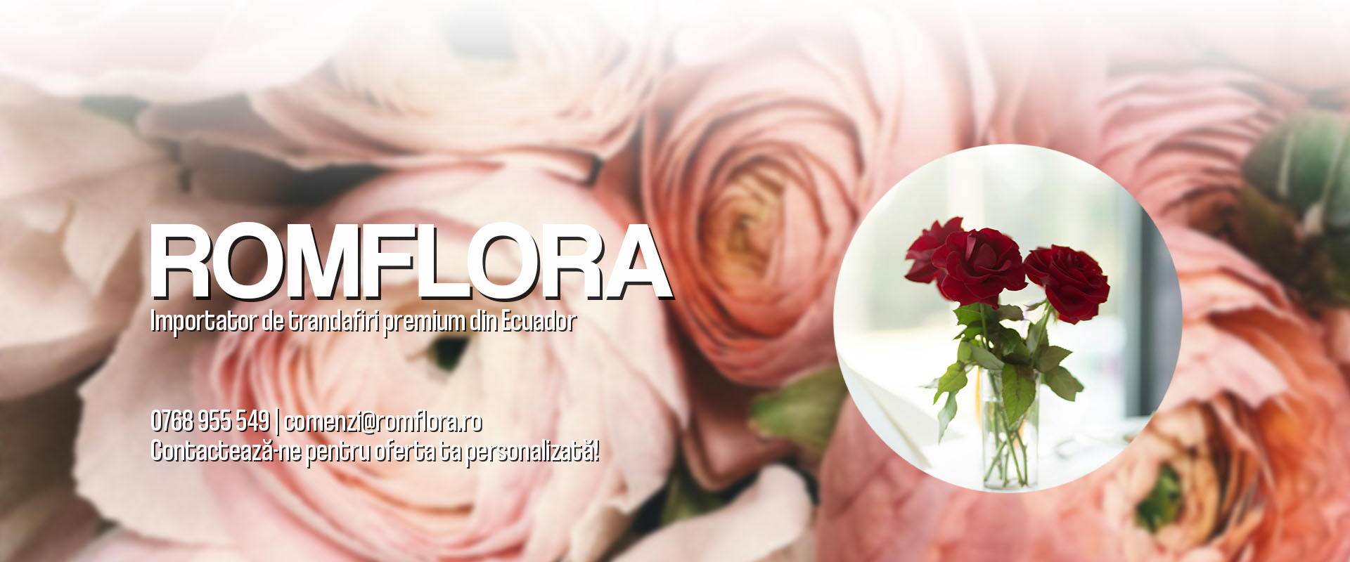 Banner RomFlora Importator de trandafiri din Ecuador