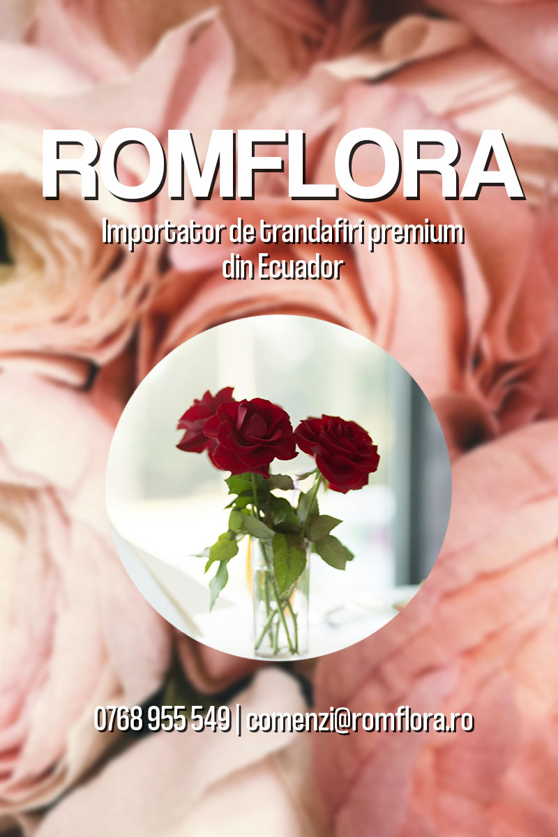 Banner RomFlora Importator de trandafiri din Ecuador mobile