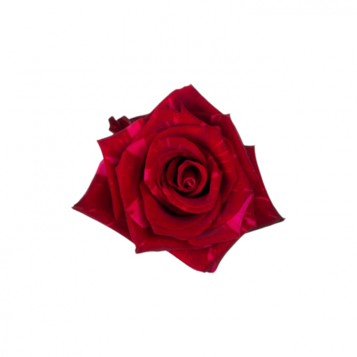 Trandafir ecuador Red Panther Super Premium Rosu Bicolor 70 cm [1]