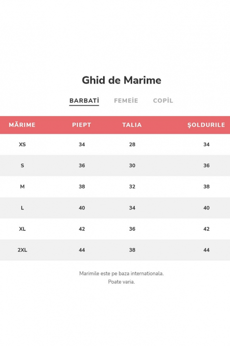 Tricou barbati, imprimeu simplu - fara model, Gri [3]