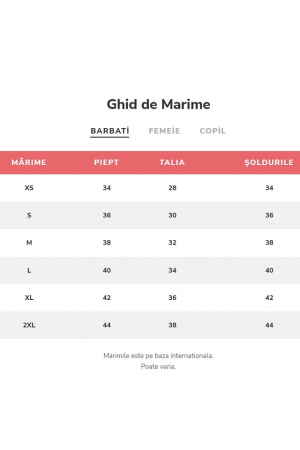 Tricou barbati, imprimeu simplu - fara model, Gri [2]