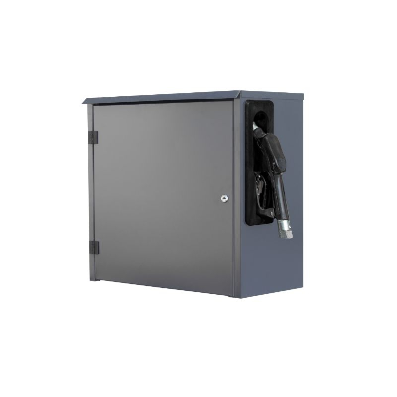 Kit EQUIPE S-50 230V pentru transfer motorina [2]