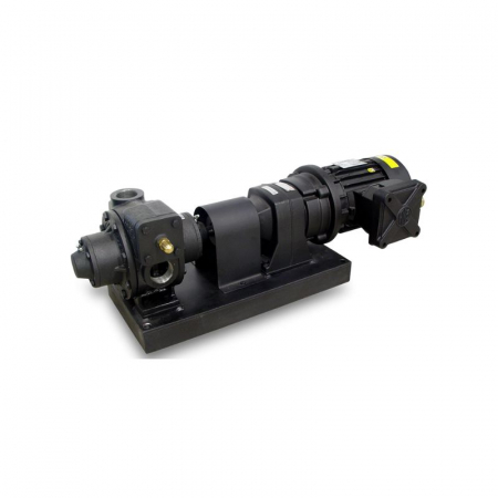 Produse - Pompa cu debit marit pentru motorina, benzina, kerosen BDP-300 F2 1/2"