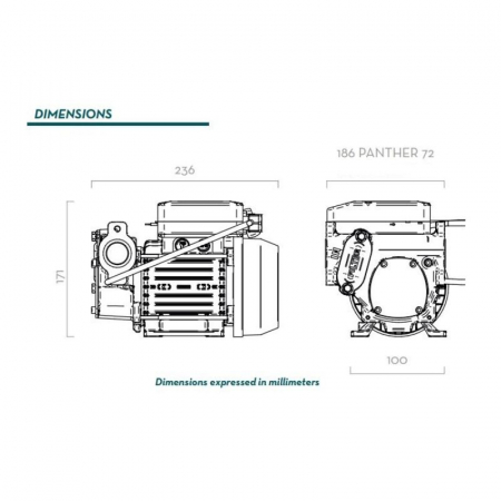 Pompa electrica transfer biodiesel PANTHER AC 72 220V BIO [1]