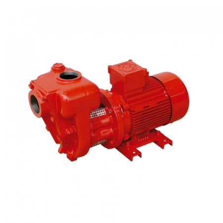 Pompe - Pompa transfer benzina CG-900HD Ex 220V