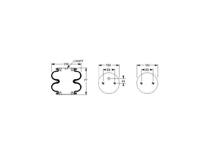 Perna aer 016793 [4]