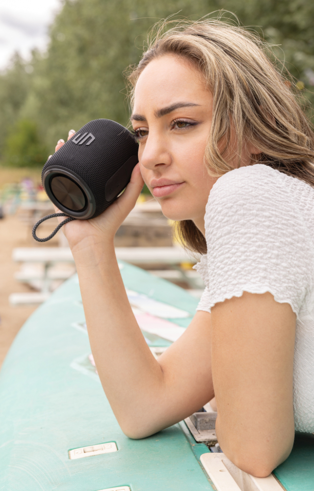 Boxă wireless Palmdale 16W [13]