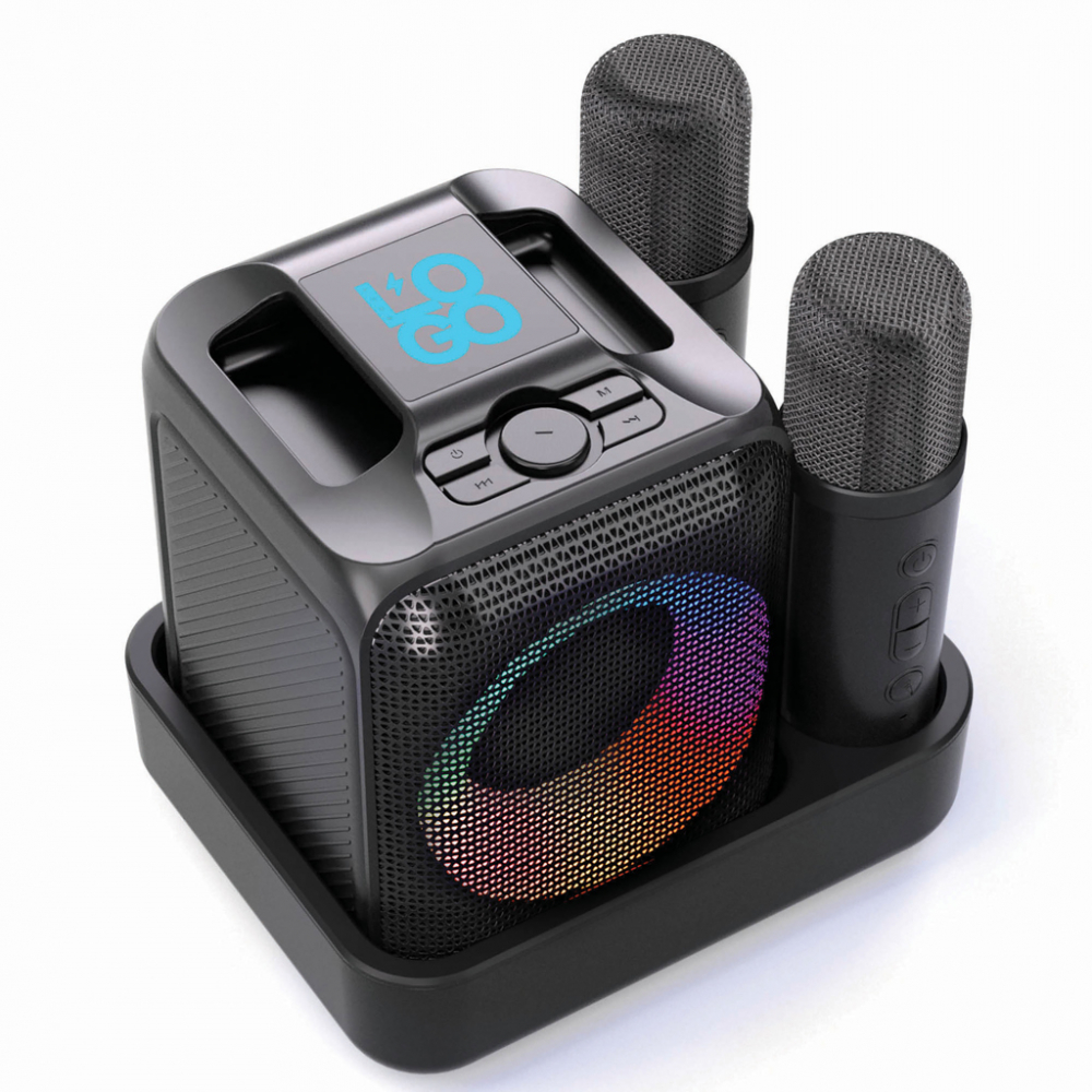 Set karaoke stereo cu 2 microfoane [11]