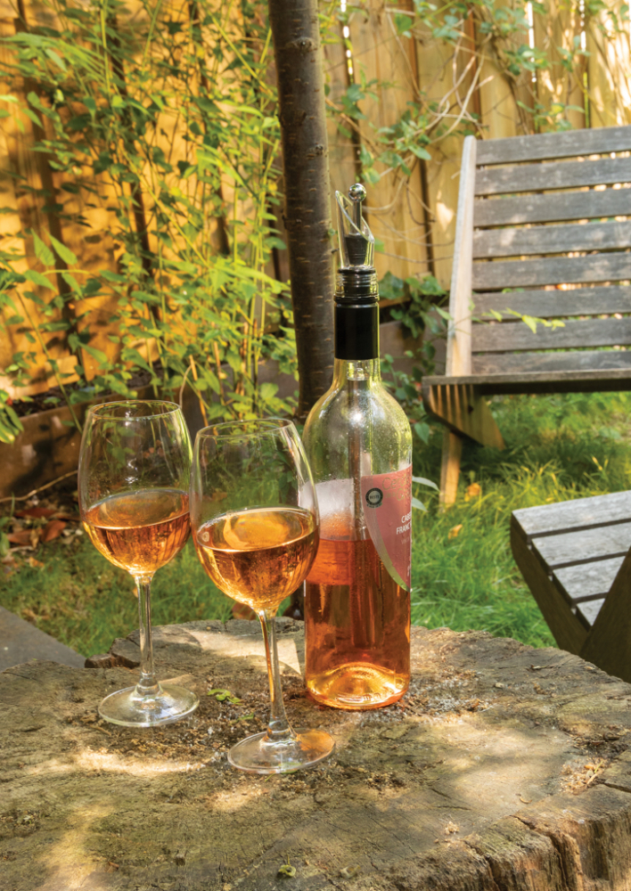 Stick răcitor pentru vin – menține temperatura ideală de servire [7]