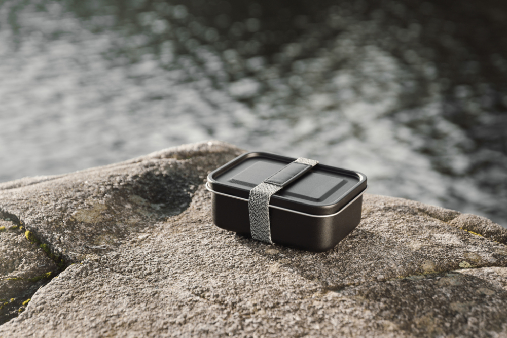 VINGA Parks RCS SS lunch box [12]