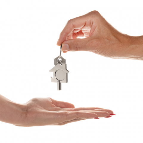 Breloc multifuncțional 3 în 1 [7]