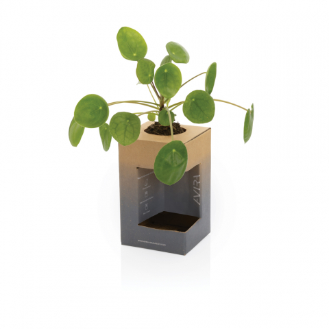 Cana termică Alya din oțel inoxidabil reciclat – 300 ml [16]