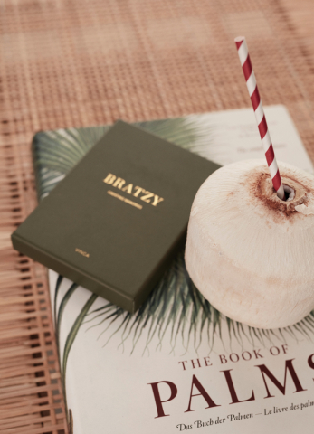 Joc Yatzy VINGA [11]