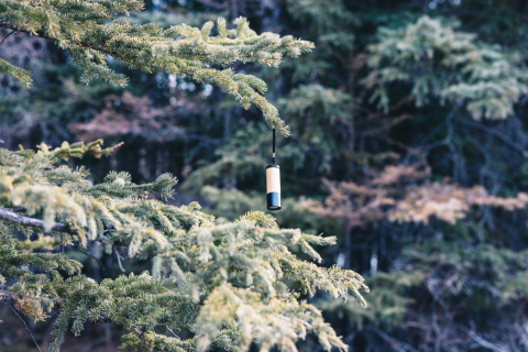 Lanternă de buzunar – din bambus FSC® [9]