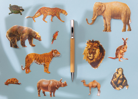 Pix cu mecanism twist [4]