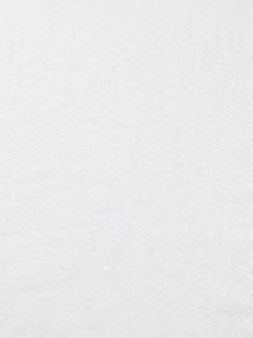 Prosop  VINGA Birch, 40x70 cm [4]