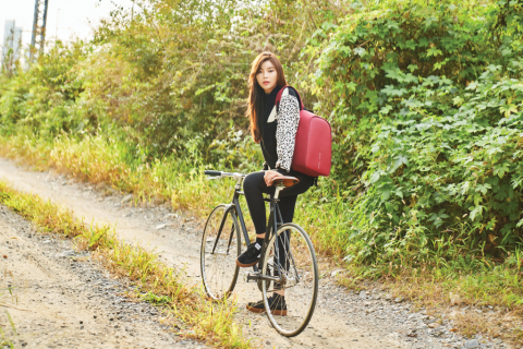 Rucsac antifurt Bobby Hero Small, 13.3” [25]