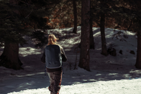 Rucsac Bobby Explore, 17'' [14]