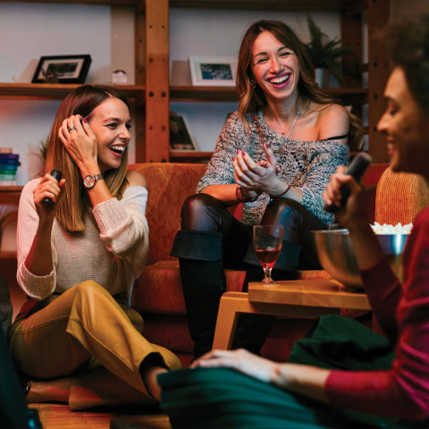 Set karaoke stereo cu 2 microfoane [15]