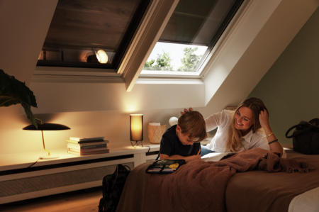 Rulou exterior parasolar opac VELUX [8]
