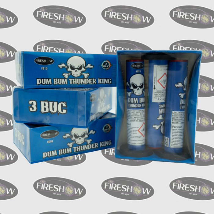 Dum Bum THUNDER KING FS10 [4]