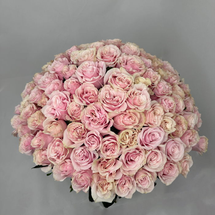 Buchet 101 Trandafiri Roz [2]