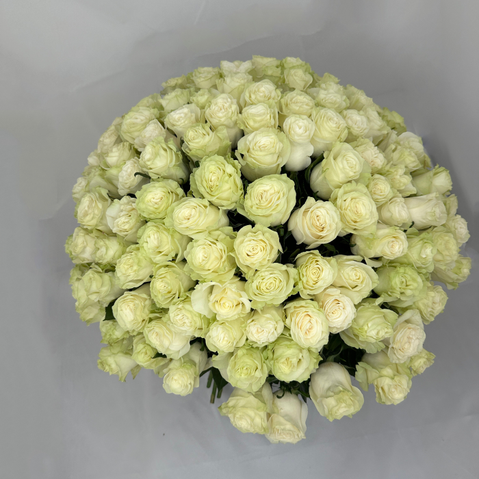 Buchet 111 Trandafiri Albi [2]