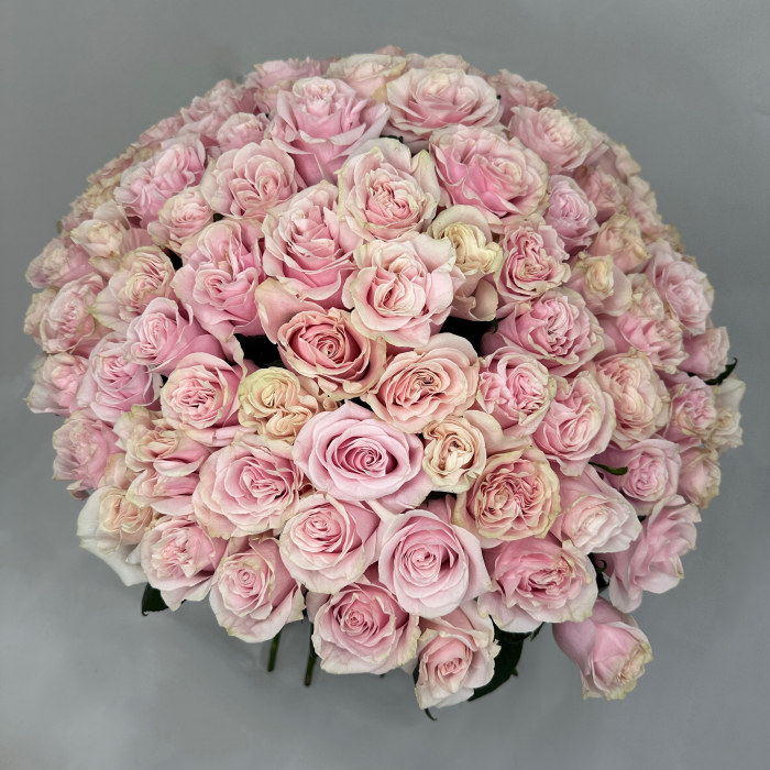 Buchet 111 Trandafiri Roz [2]