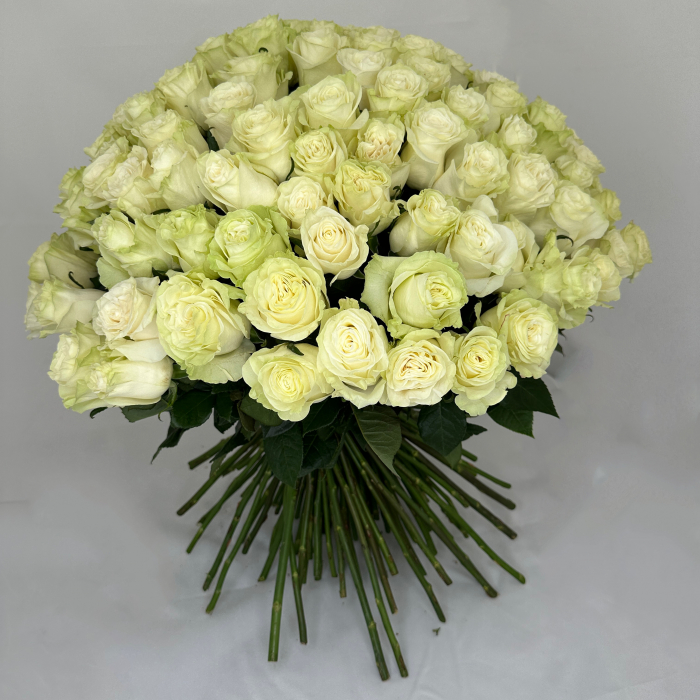 Buchet 133 Trandafiri Albi [1]