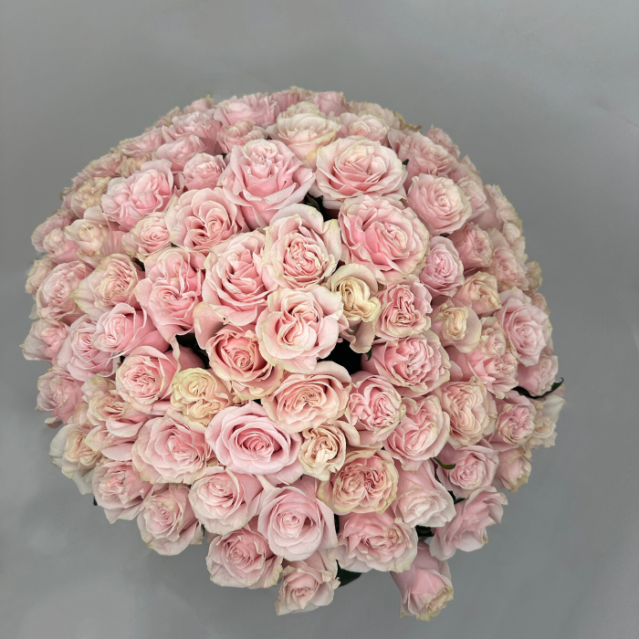 Buchet 133 Trandafiri Roz [2]