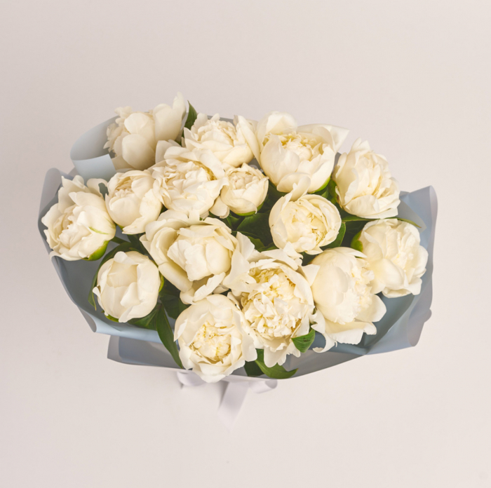 BUCHET 15 BUJORI ALBI [2]