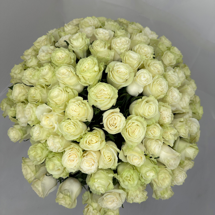 Buchet 155 Trandafiri Albi [2]