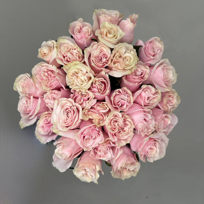 Buchet 33 Trandafiri Roz [2]