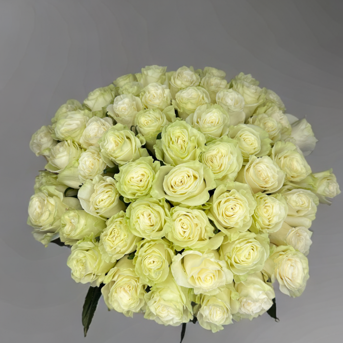 Buchet 55 Trandafiri Albi [2]