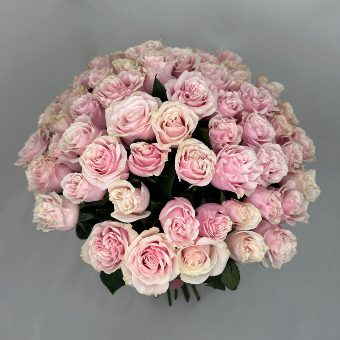 Buchet 55 Trandafiri Roz [2]