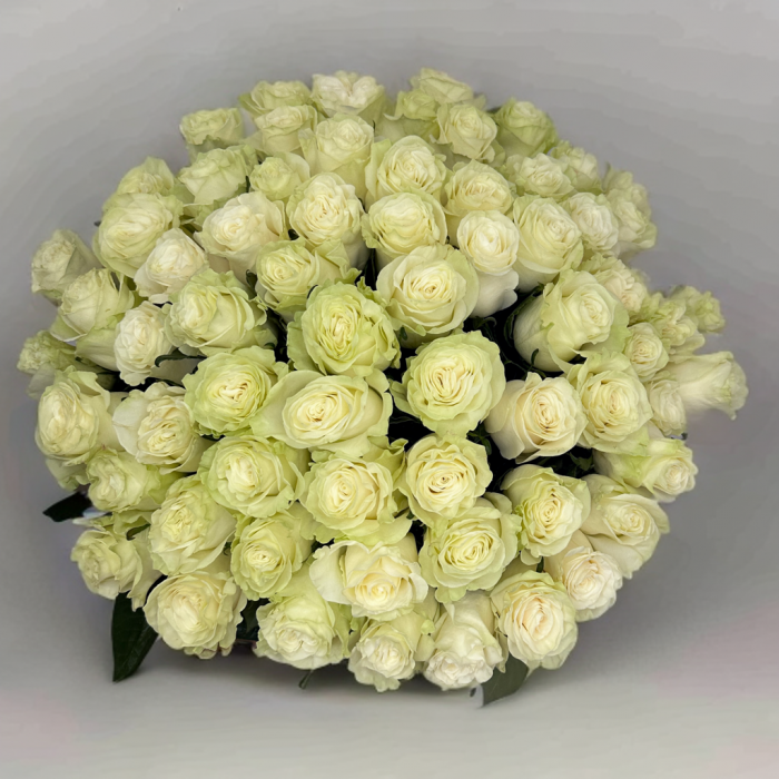 Buchet 65 Trandafiri Albi [2]
