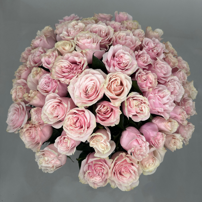 Buchet 65 Trandafiri Roz [2]