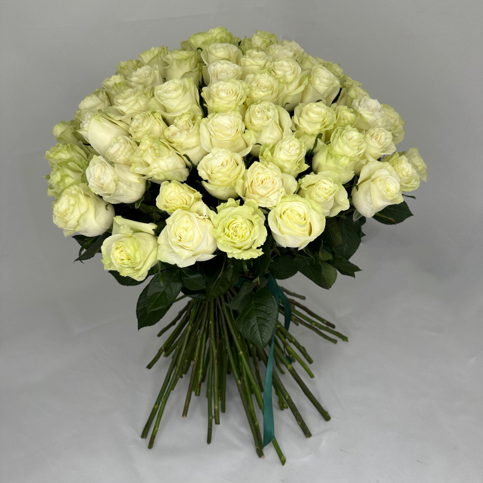 Buchet 85 Trandafiri Albi [1]
