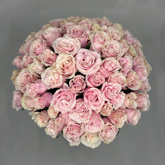 Buchet 85 Trandafiri Roz [2]