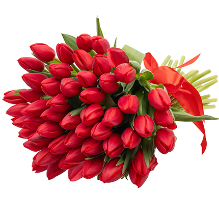 BUCHET 51 LALELE ROSII [2]